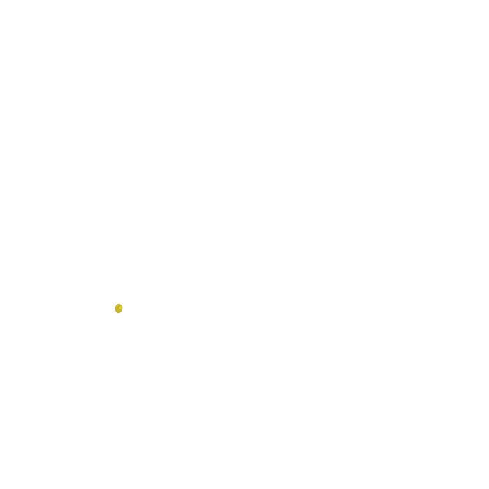 17594249_9.jpg