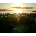 970745512_10.webp